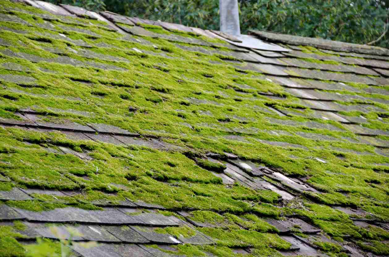 Installing Asphalt Shingle Roof