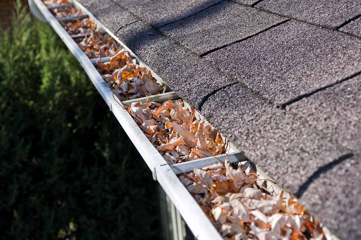 Installing Asphalt Shingle Roof