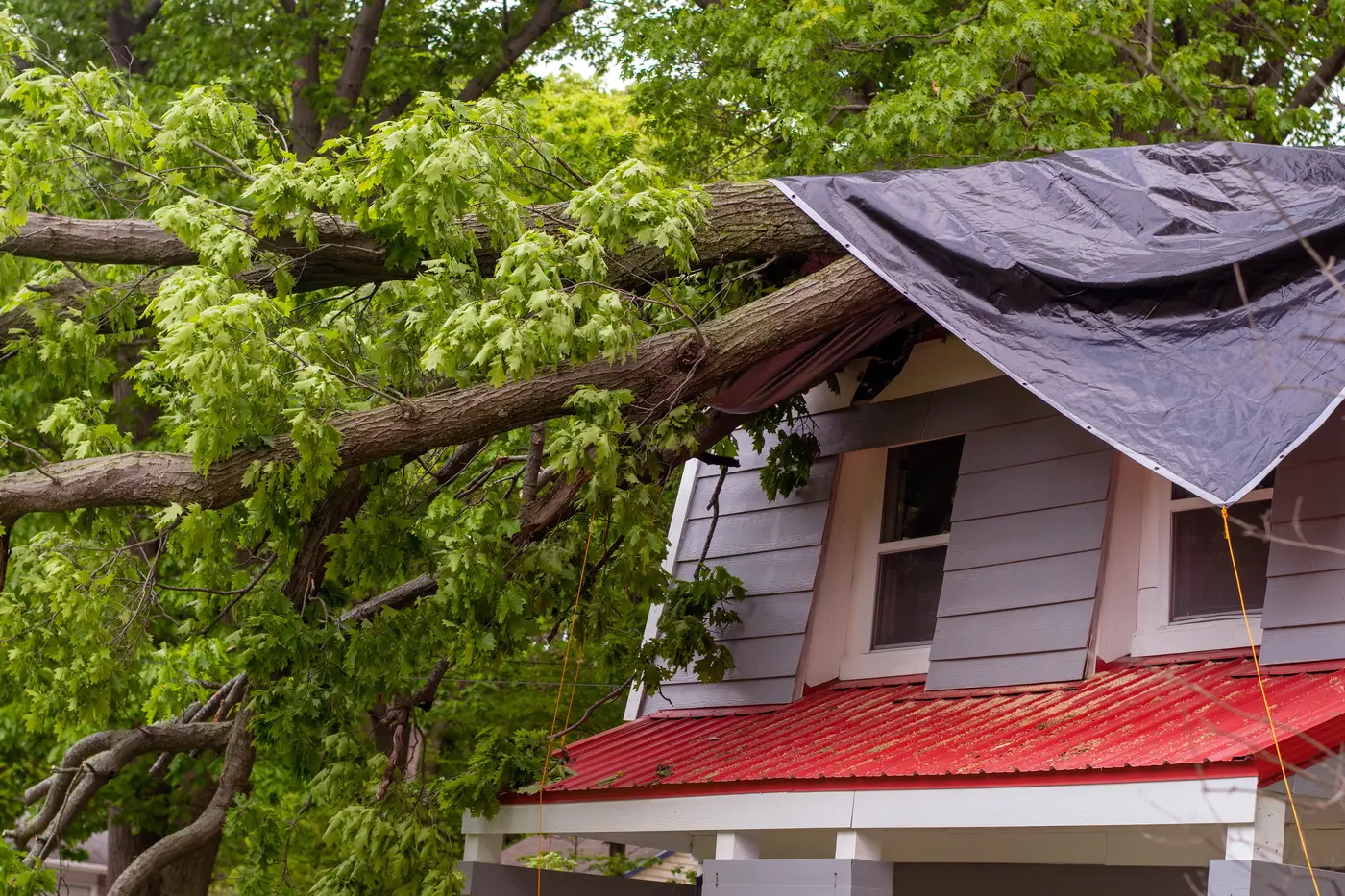 Installing Asphalt Shingle Roof