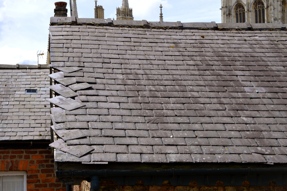 Installing Asphalt Shingle Roof