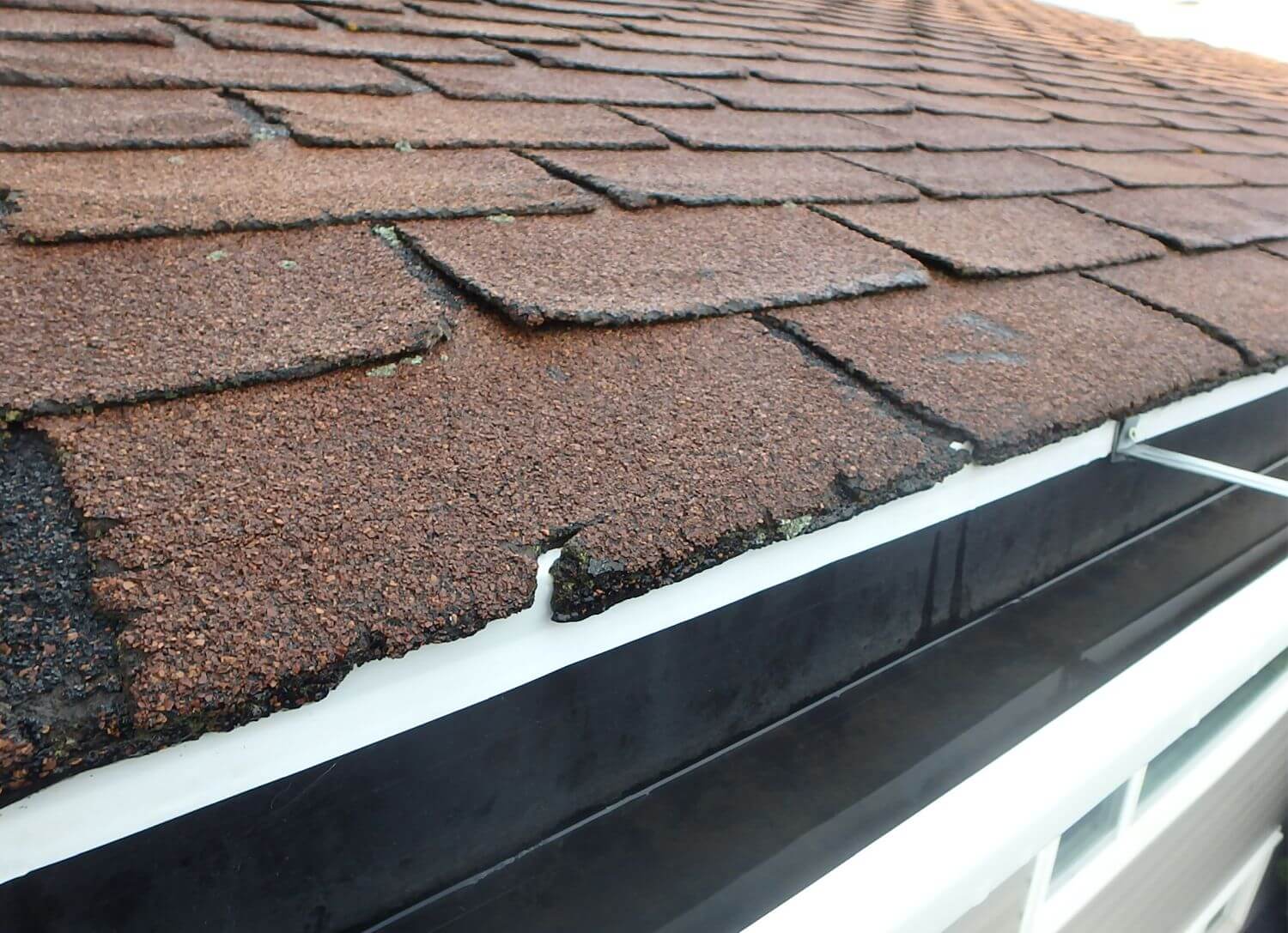 Installing Asphalt Shingle Roof